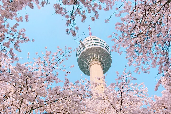 Sky Capsule with Cherry Blossom & Spring Flowers Tour from Busan - Photo 1 of 18